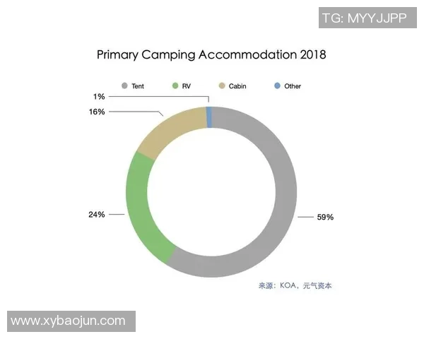 深圳攀岩队团队协作模式深度解析与其他队伍的对比研究
